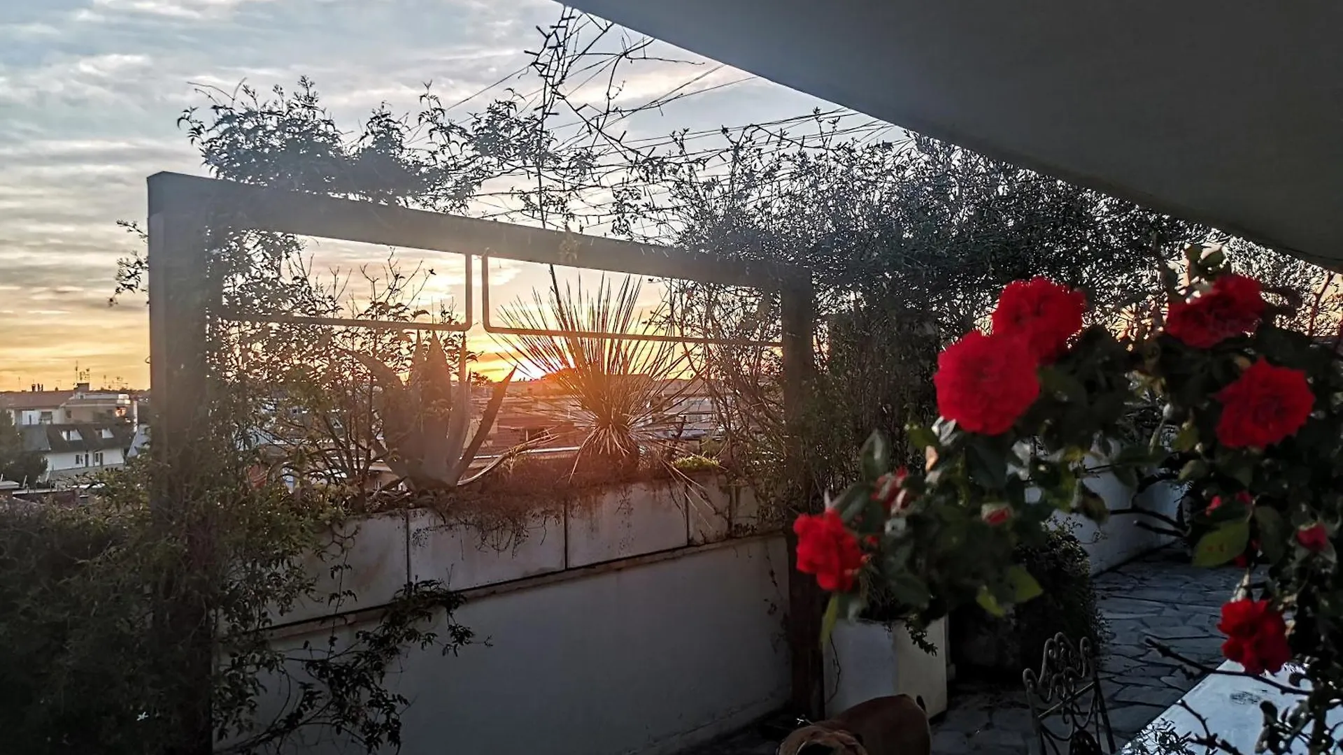 Housegardenfleming Apartment Rome Italy