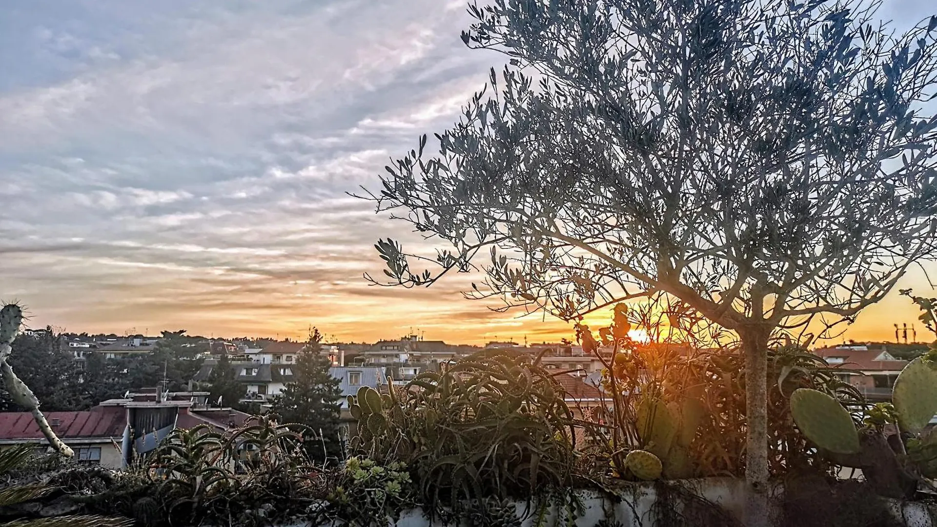 Housegardenfleming Apartment Rome